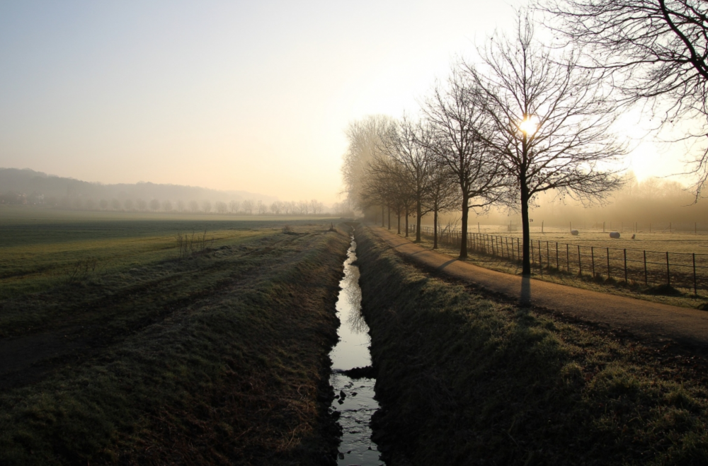 Werkmoment in de Vlierbeekse natuur