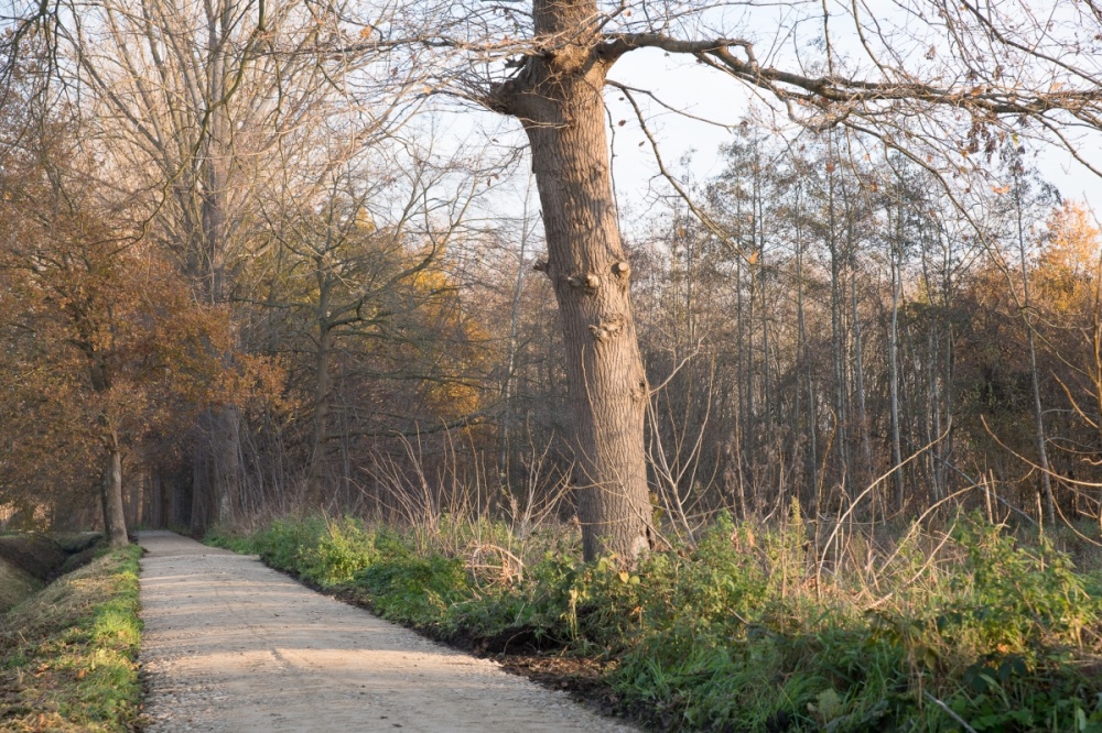 Heraanleg wandelpaden