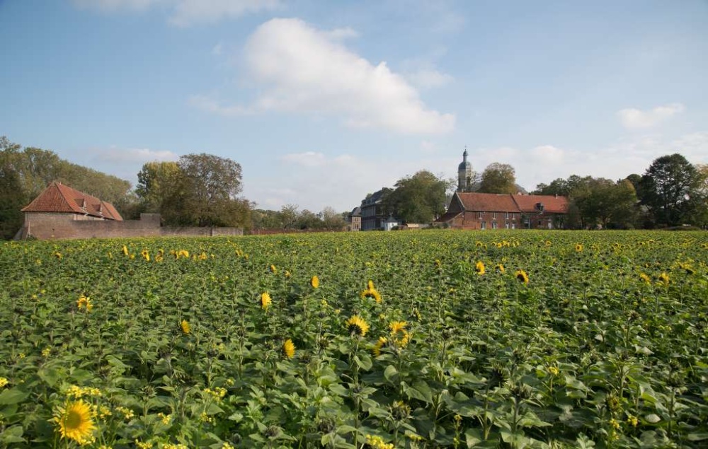 Een beetje Provence in Vlierbeek ...