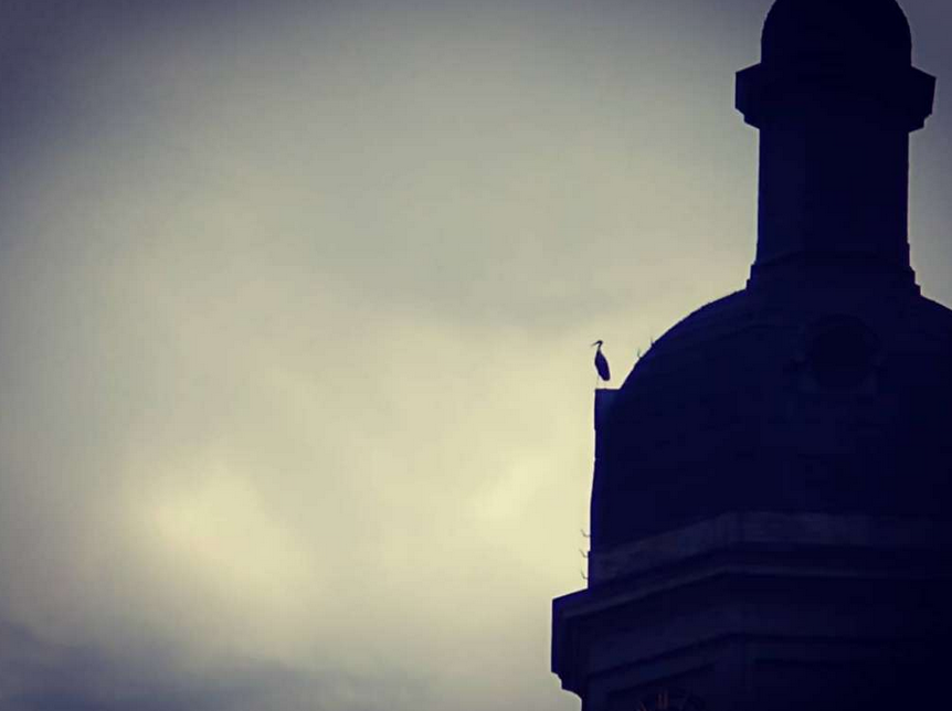 Even uitrusten op onze abdijtoren