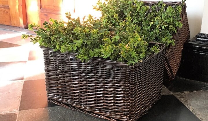 Oproep: palmtakjes gezocht