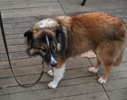 Vlierbeek abdijbrood en abdijkaas... Lekker!