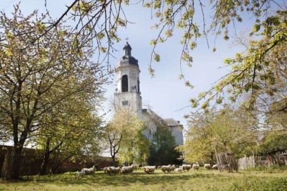 Erfgoeddag: "Beestenboel in de abdij"
