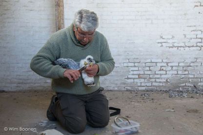 Nieuwe lichting in onze abdijtoren