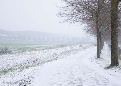Winter Wonderland in Vlierbeek