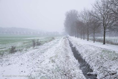 Winter Wonderland in Vlierbeek
