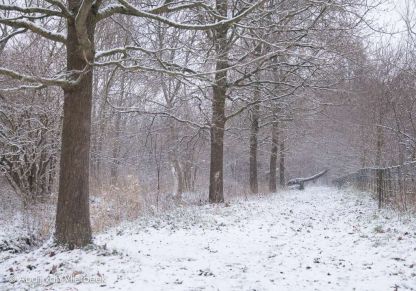 Winter Wonderland in Vlierbeek