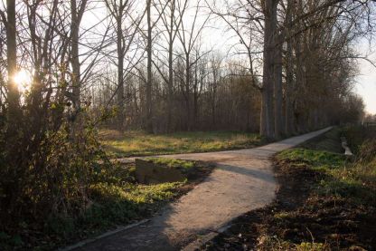 Heraanleg wandelpaden