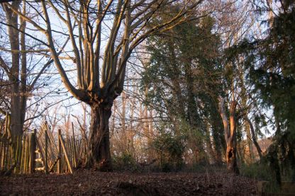 Groenbeheer op onze abdijsite