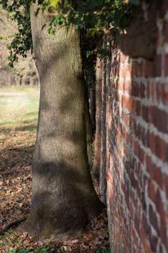 Groenbeheer op onze abdijsite