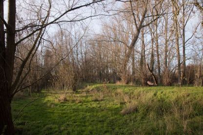 Groenbeheer op onze abdijsite