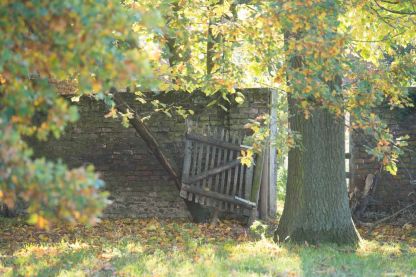 Honing van onze bijtjes