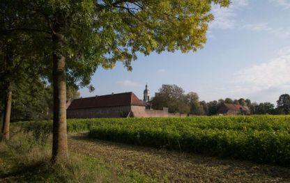 Een beetje Provence in Vlierbeek ...