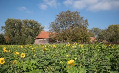 Een beetje Provence in Vlierbeek ...