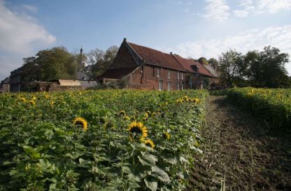 Een beetje Provence in Vlierbeek ...