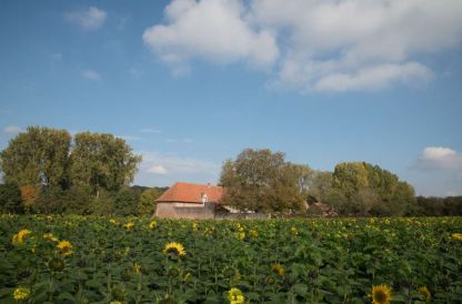 Een beetje Provence in Vlierbeek ...