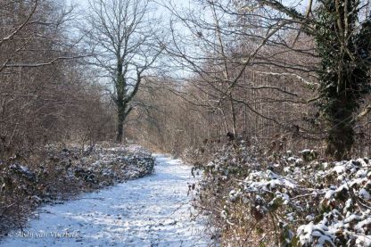 Winter in Vlierbeek... stiller dan stil