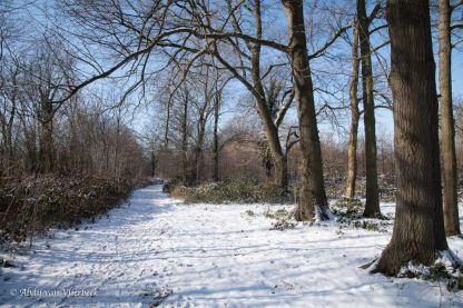 Winter in Vlierbeek... stiller dan stil