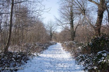 Winter in Vlierbeek... stiller dan stil