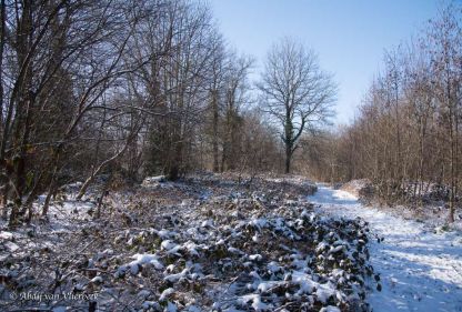 Winter in Vlierbeek... stiller dan stil