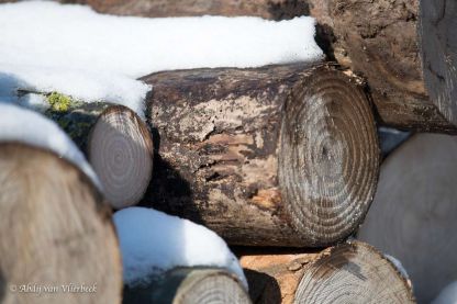 Winter in Vlierbeek... stiller dan stil