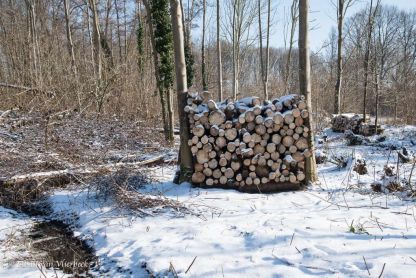 Winter in Vlierbeek... stiller dan stil