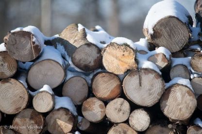 Winter in Vlierbeek... stiller dan stil