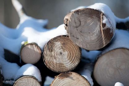 Winter in Vlierbeek... stiller dan stil