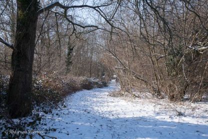 Winter in Vlierbeek... stiller dan stil