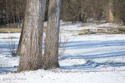 Winter in Vlierbeek... stiller dan stil