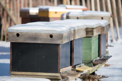 Winter in Vlierbeek... stiller dan stil